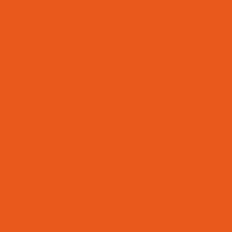 Leuchtendes Orange | 9807-107