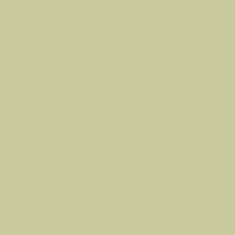 PALE OLIVE | 0611